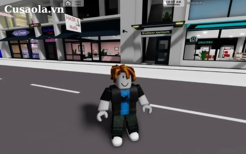 Roblox